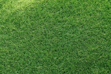 Obraz premium The Lush Green Lawn Closeup Showcases Dense Grass Blades and Vibrant Texture