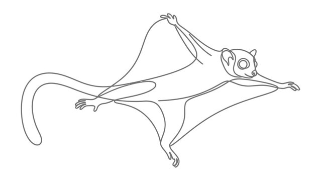 Sugar Glider Line Art: A minimalist line art illustration of a sugar glider in flight, showcasing its gliding membrane and slender tail with a clean, modern aesthetic.