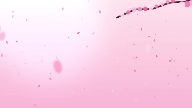Pink cherry blossom petals falling against soft gradient background with floral branch for spring seasonal