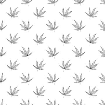 Seamless pattern with hand drawn cannabis leaf Medicine marijuana Hemp leaves For decorative print, wrapping paper, fabric, packaging, background