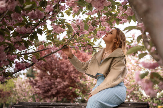 Floral spring surroundings frame a woman sitting on a wooden bench while she touches blooming cherry blossoms in a garden