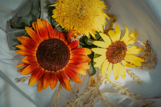 lose-up of vibrant yellow sunflowers with dark centers beautifully arranged inside a rustic wicker basket.