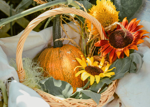 Autumn still life with an orange pumpkin and vibrant sunflowers in a wicker basket against a rustic garden background.