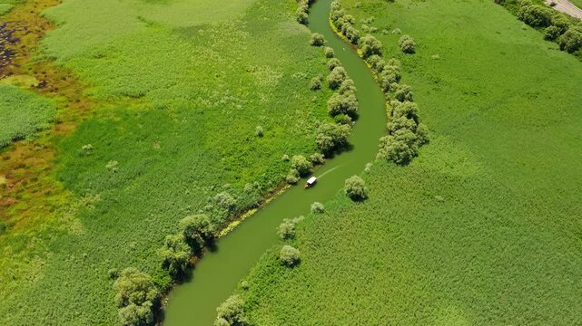 Motorboat on Winding Wetland Channel at Skadar Lake, Montenegro