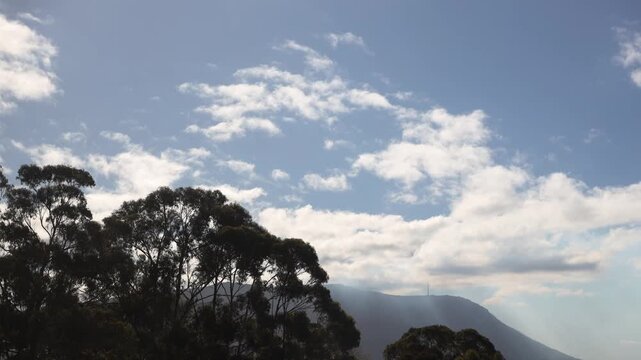 timelapse of eucalyptus gum tree and clouds passing by over the mountains