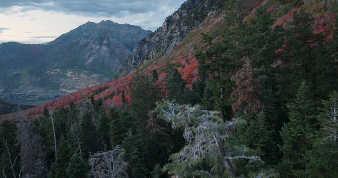 Beautiful Aerial View Of Autumn Forest In Utah Rocky Mountains After Sunset