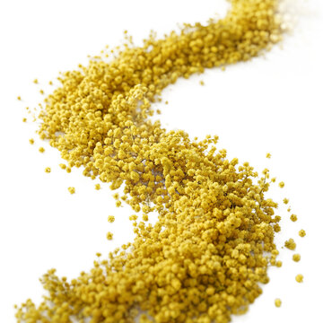 Mimosa flowers path yellow blossoms arranged in a wavy line on a transparent background for creative spring design projects