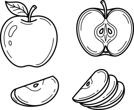 Vector line art collection of fresh apples featuring a whole fruit half cross section single wedge and multiple slices isolated on white background