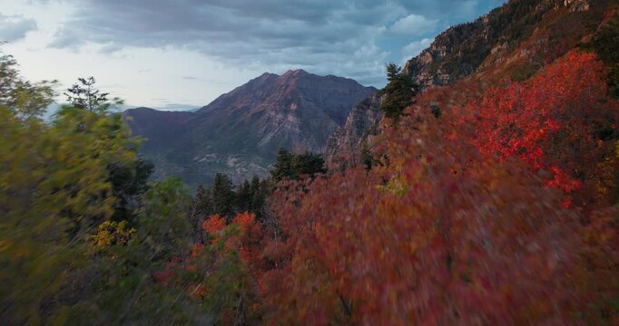 Beautiful Autumn Trees In Rocky Mountain Canyon In Provo, Utah - Aerial Shot At Sunset