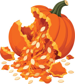 Smashed Pumpkin Vector Illustration with Spilling Pulp and Seeds Isolated on Transparent Background