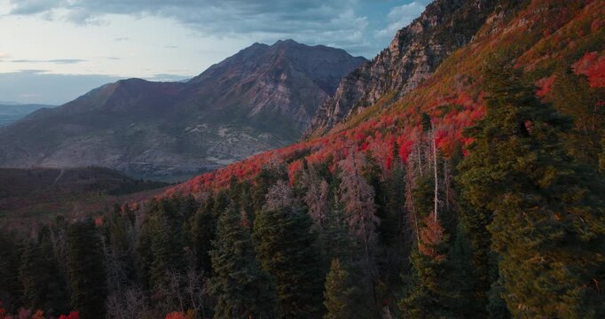 Epic Aerial Shot Lowering Backwards Into Autumn Trees Of Rocky Mountain Canyon At Dusk