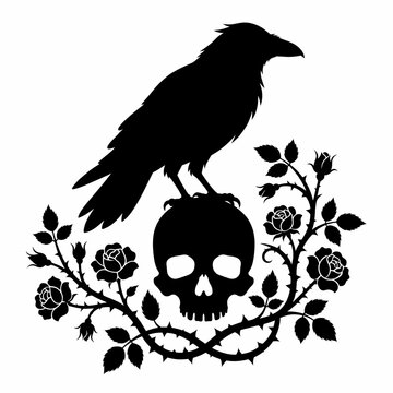 skull