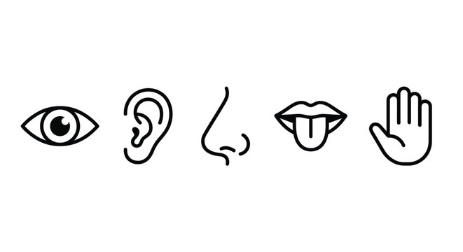 Line art depictions of human senses against a white background