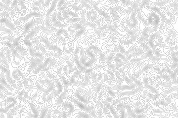  Abstract grey topographic map contour lines pattern background vector with minimalist geographic terrain elevation curves on clean white backdrop © wali