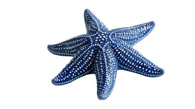 Vibrant blue starfish with white textured spots and five pointed arms