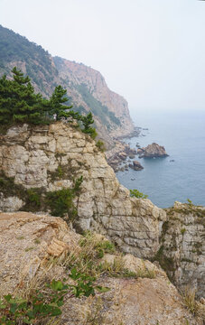 Tourist standing on a rocky sea cliff on the northeastern China coast near Dalian, with steep coastline, layered rock and a distant headland in hazy light