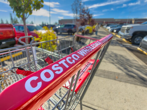 Calgary, AB, Canada. September 29, 2026. Close-up of Costco Wholesale shopping cart handle in a parking lot on a sunny day.