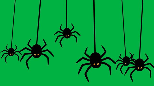 Animated black spiders hanging and swinging on visible web threads against a green screen, ideal for Halloween, horror, spooky, and creepy video projects.