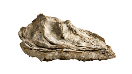 Rough textured oyster shell with crystalline mineral formations on the edge © Otillie