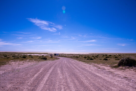 Savannah landscape of Etosha National Park showcasing sparse vegetation and dry soil under an expansive sky in northern Namibia.