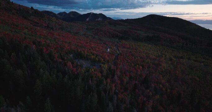 Shadow Covered Autumn Trees In Rocky Mountain Canyon At Dusk - Aerial Shot