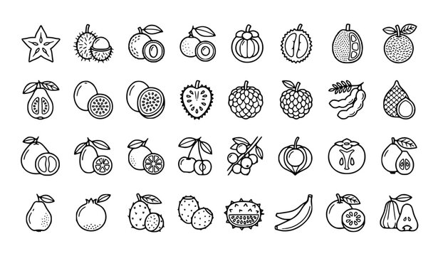Tropical Exotic Fruits Minimal Outline Vector Icons for Food Branding