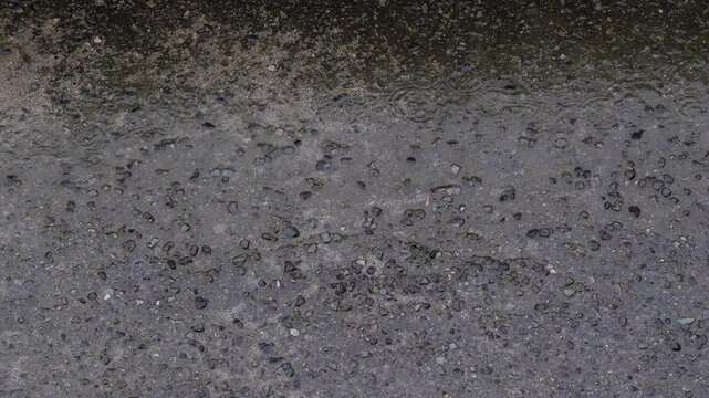 砂利の混ざった地面に降る雨と水たまりに広がる波紋を俯瞰で捉えたスローモーション映像