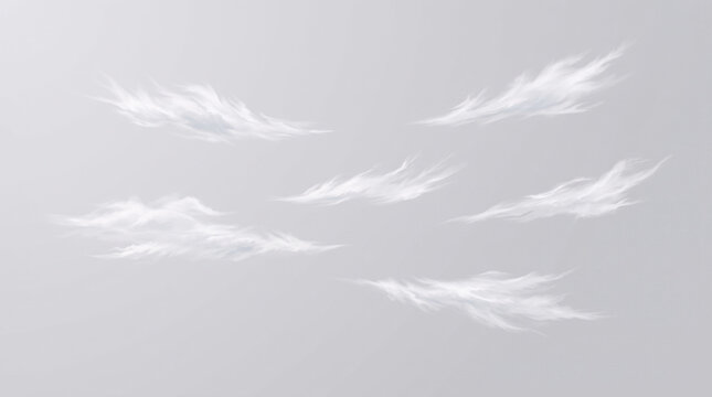 Nuages cirrus blancs isol&eacute;s sur fond gris