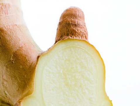 Close up of fresh ginger root with cut end