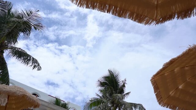 A Serene View Under Tropical Umbrellas: Capturing the Beauty of Blue Skies and Lush Palms in a Relaxing, Leisurely Atmosphere