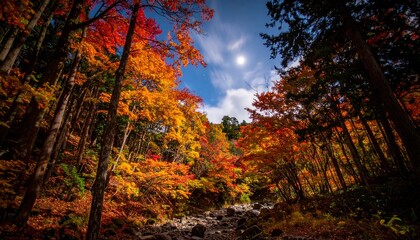 Fototapeta premium Enchanted Autumn Woodland with Golden Foliage and Atmospheric Moonlight