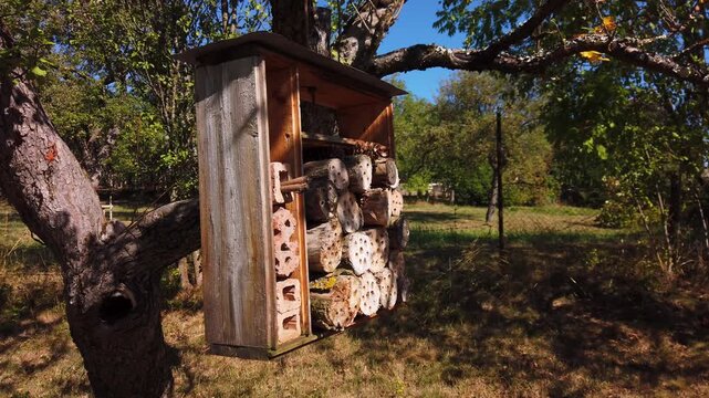 Wooden insect hotel hanging on an old tree