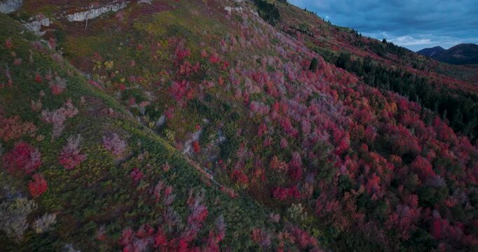 Colorful Autumn Trees Scattered On Rocky Mountain Side In Provo, Utah - Aerial Shot
