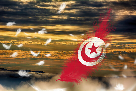 3D illustration. Flag of Tunisia on a feathers fluttering in the sky background.