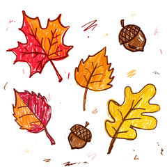 autumn leaves and acorns © Aikerim