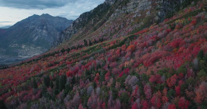 Majestic Aerial Shot Soaring Over Autumn Trees On Rocky Mountain Side At Dusk