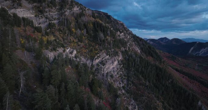 Pine Tree And Autumn Colors On Rocky Mountain Side At Dusk - Aerial Shot