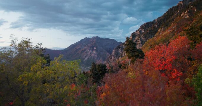 Slow Drone Shot Rising Over Beautiful Autumn Forest With View Of Rocky Mountains At Sunset