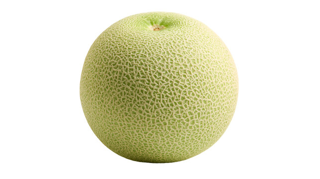 Whole ripe cantaloupe melon with textured reticulated rind