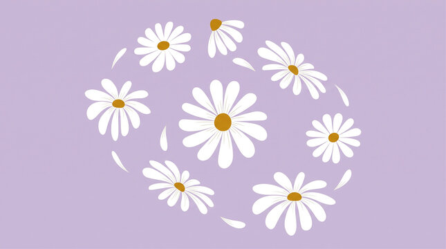White daisy flowers set flat vector illustration isolated on purple background