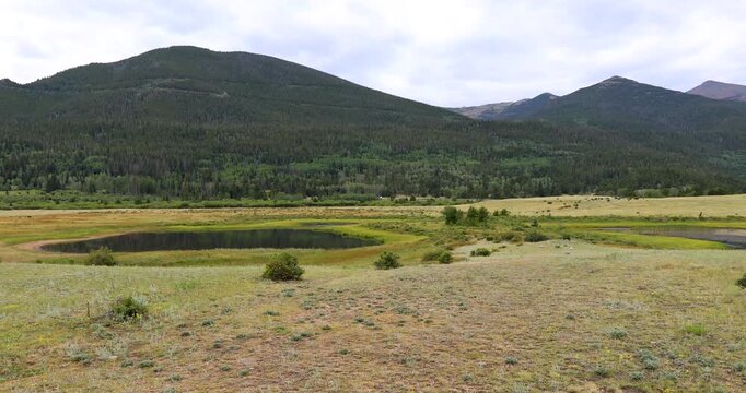 Static video of a pond near Sheep Lakes Information Station in the Rocky Mountains National Prk in Colorado