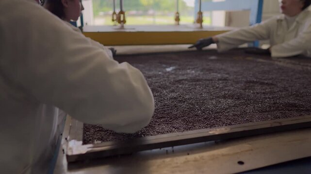 Young Latin scientists in lab coats and gloves flatten crushed HDPE plastic particles on a workbench, preparing it for eco-friendly construction.