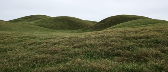 Obraz premium Gently rolling grass-covered hills under an overcast sky in a rural landscape