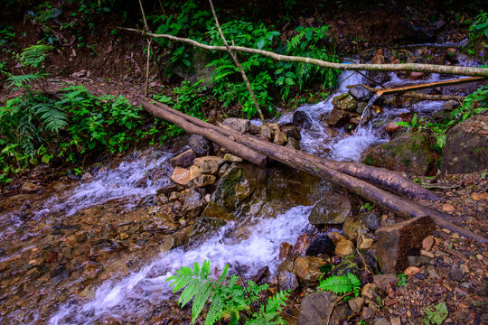 Forest stream in the rainforests of northern Thailand, featuring rustic bridge