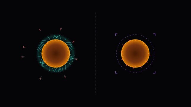Abstract glowing spheres with digital interface rings on a dark background