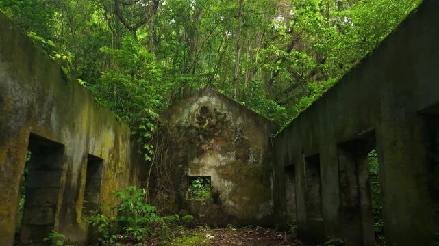 Aerial forward shot reveals roofless moss covered stone ruins with empty window openings and doorways surrounded by dense tropical forest at Anse Couleuvre in Martinique