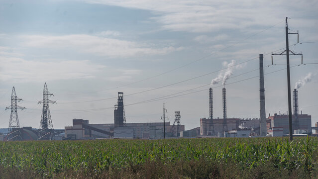 Industrial factory with smoking chimneys behind green corn field with copy space