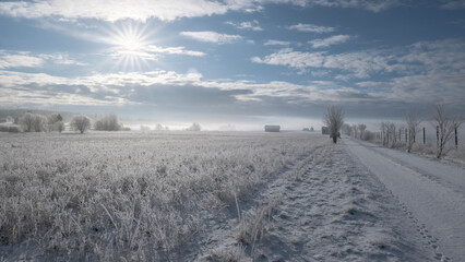 Naklejka premium Misty morning landscape iwith snow and frost