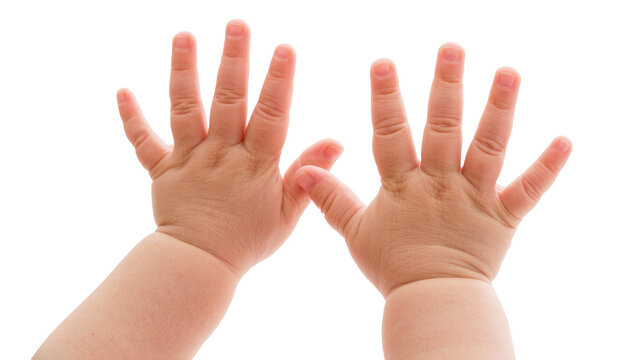 Two chubby baby hands with ten fingers spread wide, isolated on transparent background