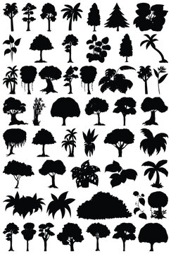 Various Tree Silhouette Vector Pattern Set